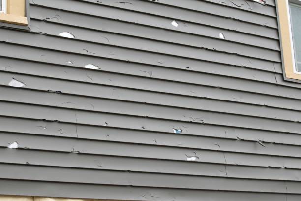 Affordable Siding Repair and Maintenance Services in Amery, WI