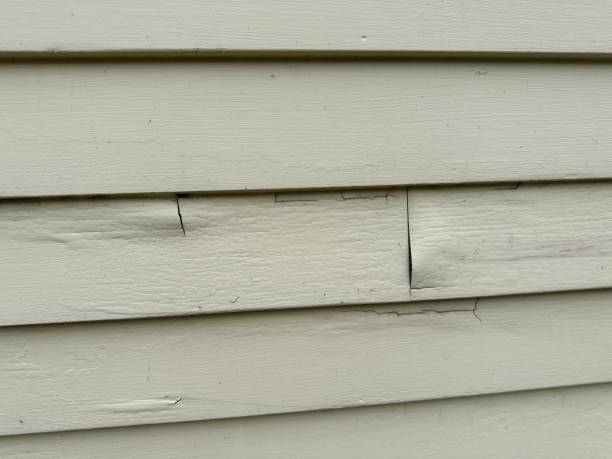 Best Siding for Multi-Family Homes  in Amery, WI